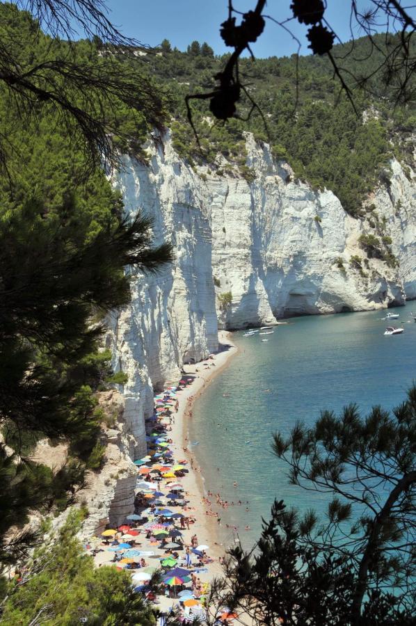 5 Hotel sul Mare a Mattinata per una Vacanza in Puglia
